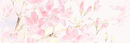 sage 🌱✨'s banner