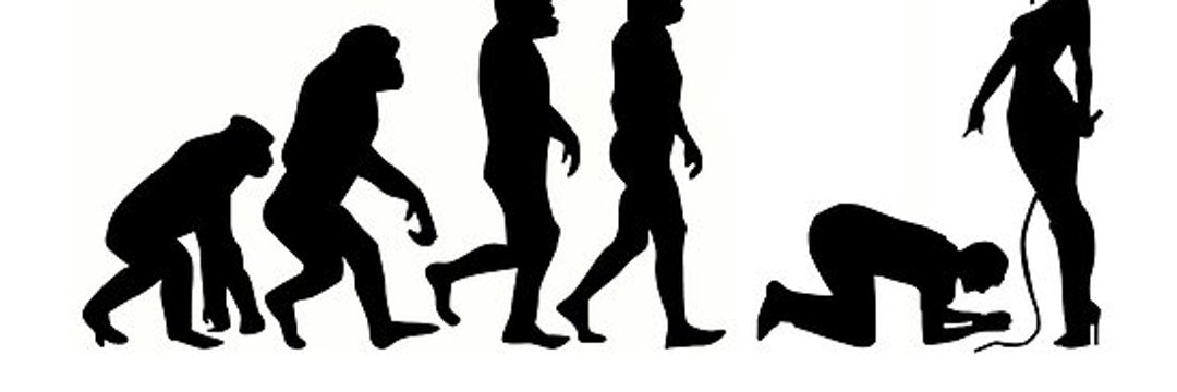 Slave Sub Cuck's banner