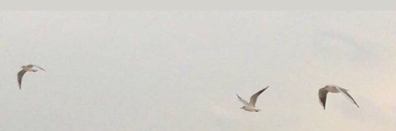 عمقً's banner