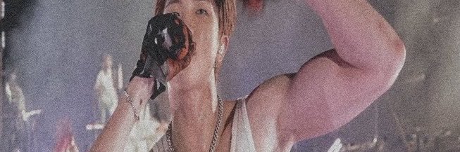 lana⁷ vai ver o bts's banner