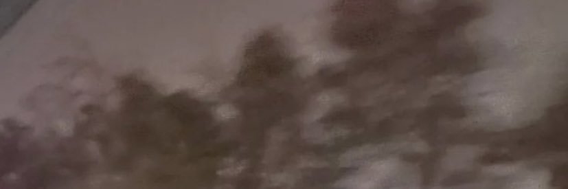 لاورا's banner