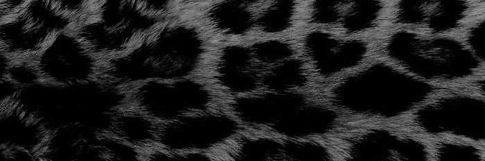 emily ⋆ ˚｡⋆౨ৎ˚'s banner