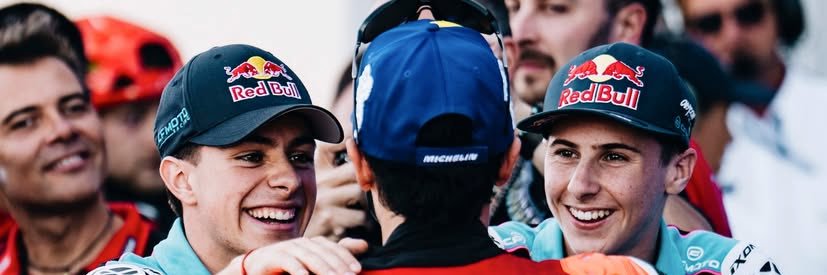 Dani's banner