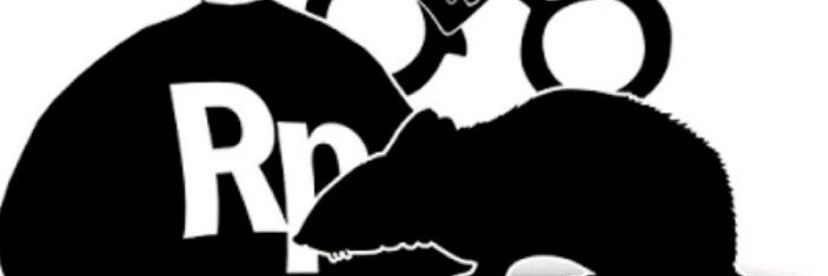 Informants's banner