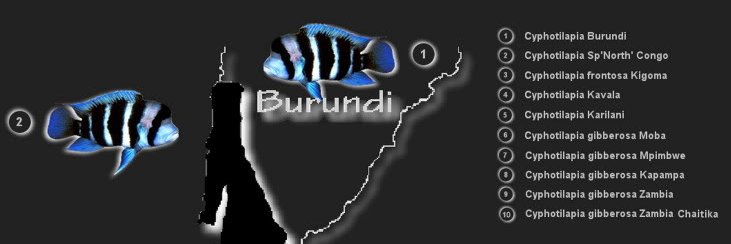 Frontosa Burundi 😎*⃣'s banner