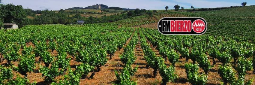 FM BIERZO 107.3's banner