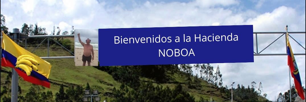 José Díaz's banner