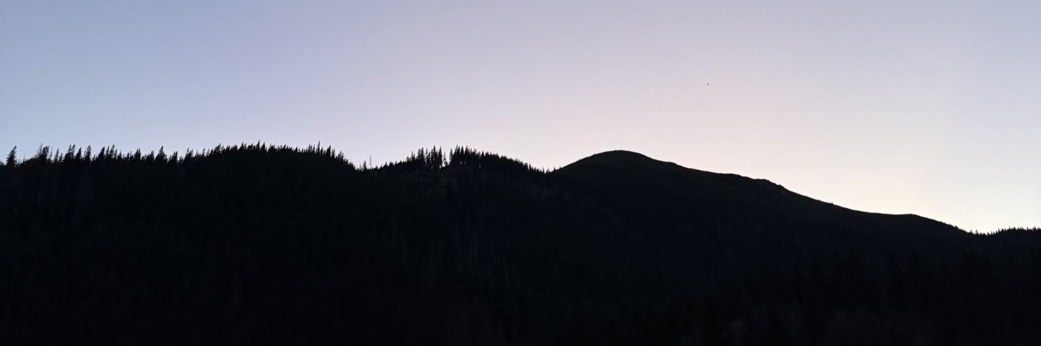 Vi Lo's banner