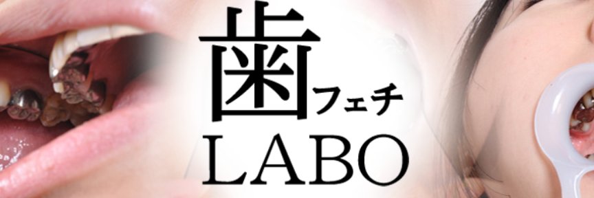 歯フェチラボ's banner