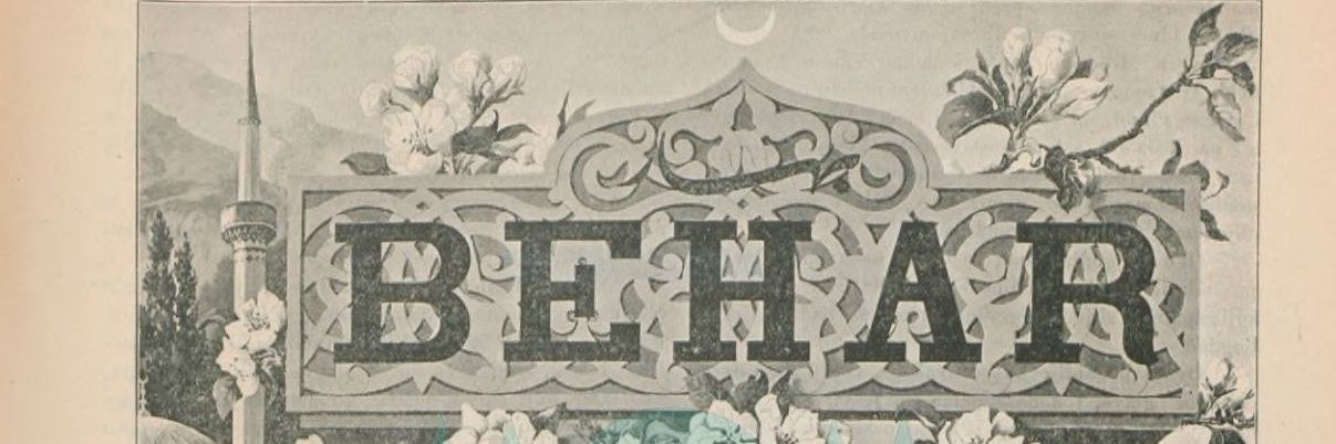 tetka's banner