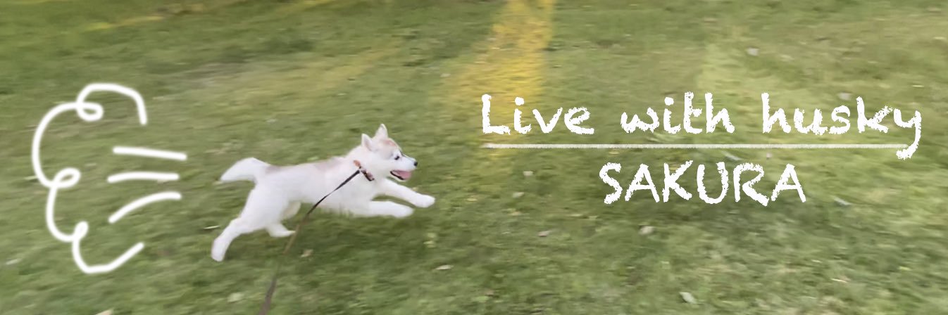 Live with husky's banner