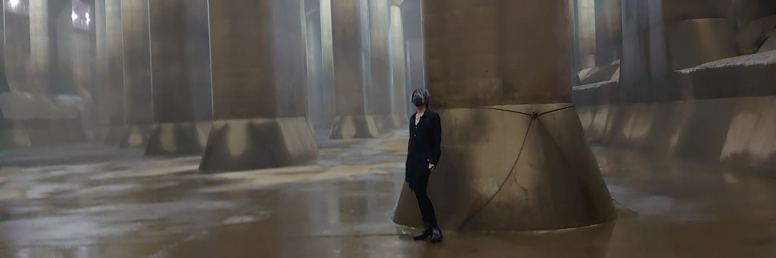 一般のスキンヘッド's banner