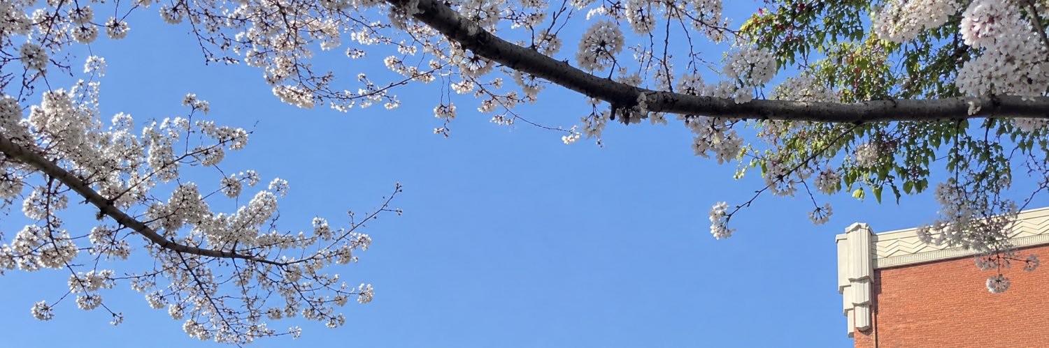 preaw's banner