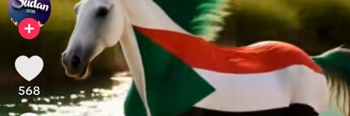 zooLa Sudania🇸🇩's banner