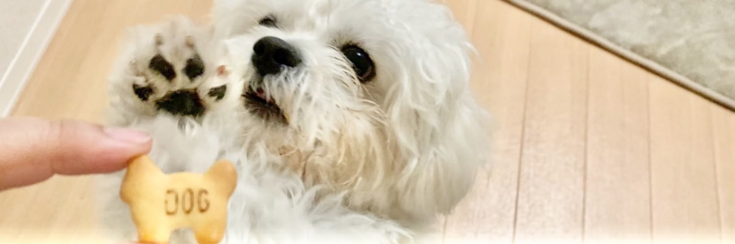 かわいいぬｽﾞ's banner