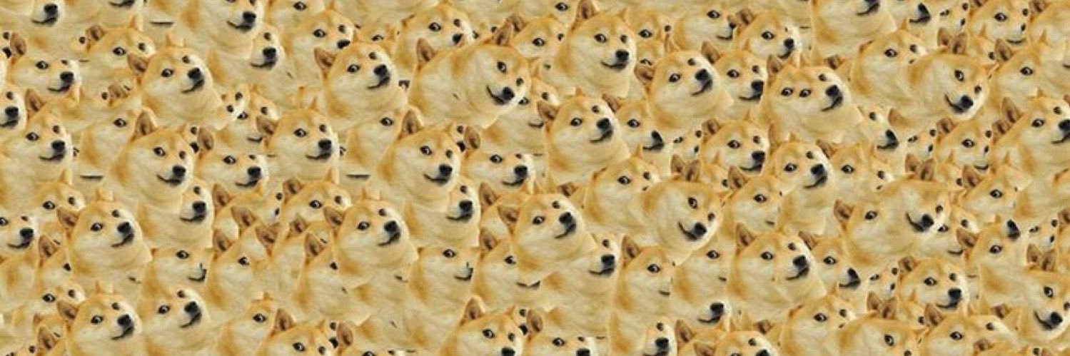 Tesla Model Doge's banner