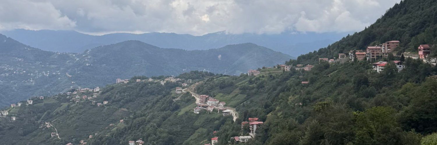 cessi's banner