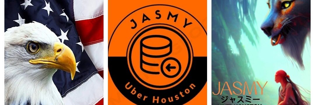 Houston's banner