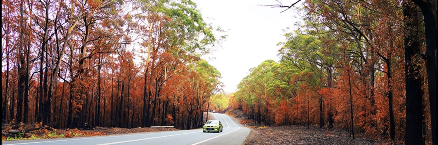 Izu Bushland's banner