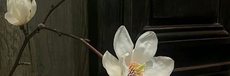 Noey's banner