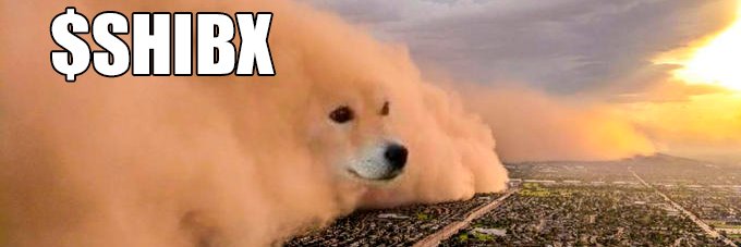 SHIBAVAX9000 🔺 $SHIBX's banner