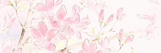 𝑨𝒓𝒊𝒆𝒍's banner