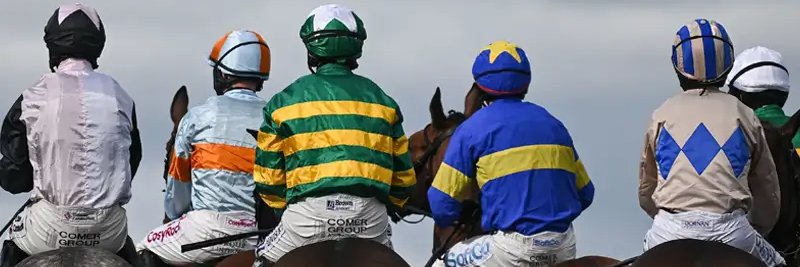Ginger Joe Racing & Golf's banner