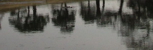 穂ノ佳. ̫ .'s banner