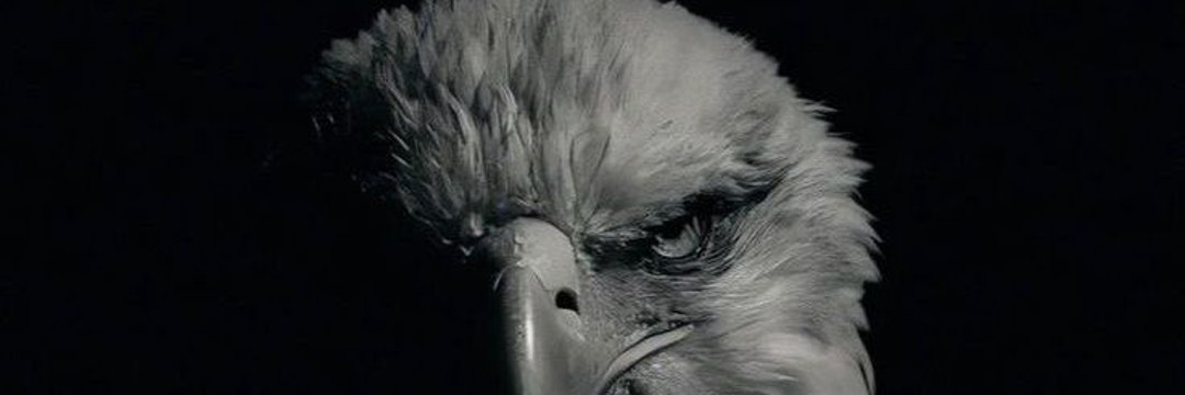 ɐuɹǝᙠ's banner
