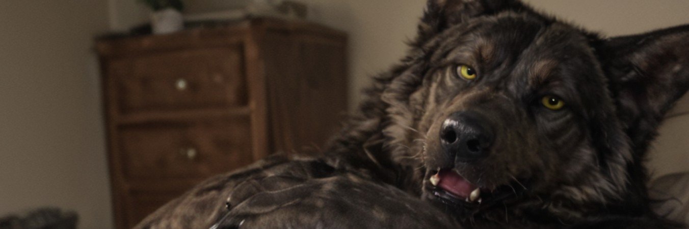 Goe Hound's banner