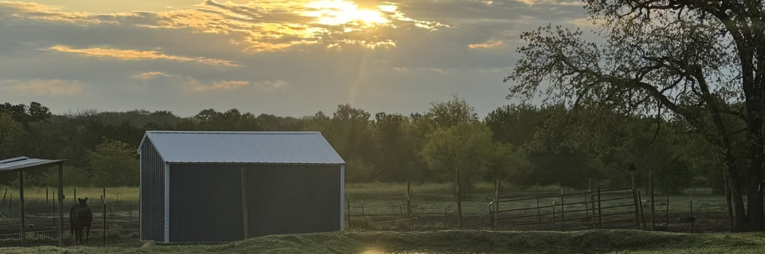The Bridge Sanctuary's banner