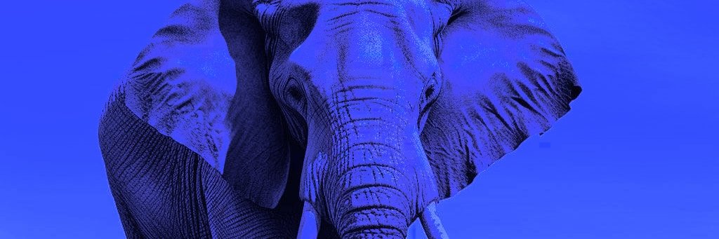WELEPHANT's banner