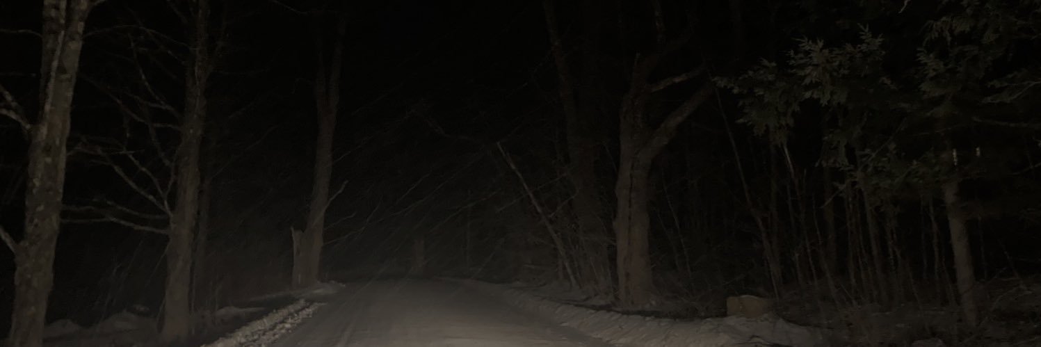 phoebe's banner