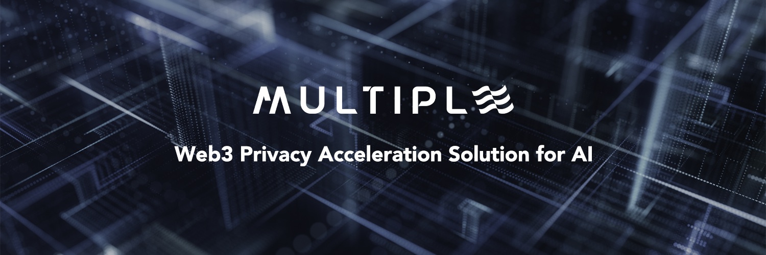 Multiple Network's banner