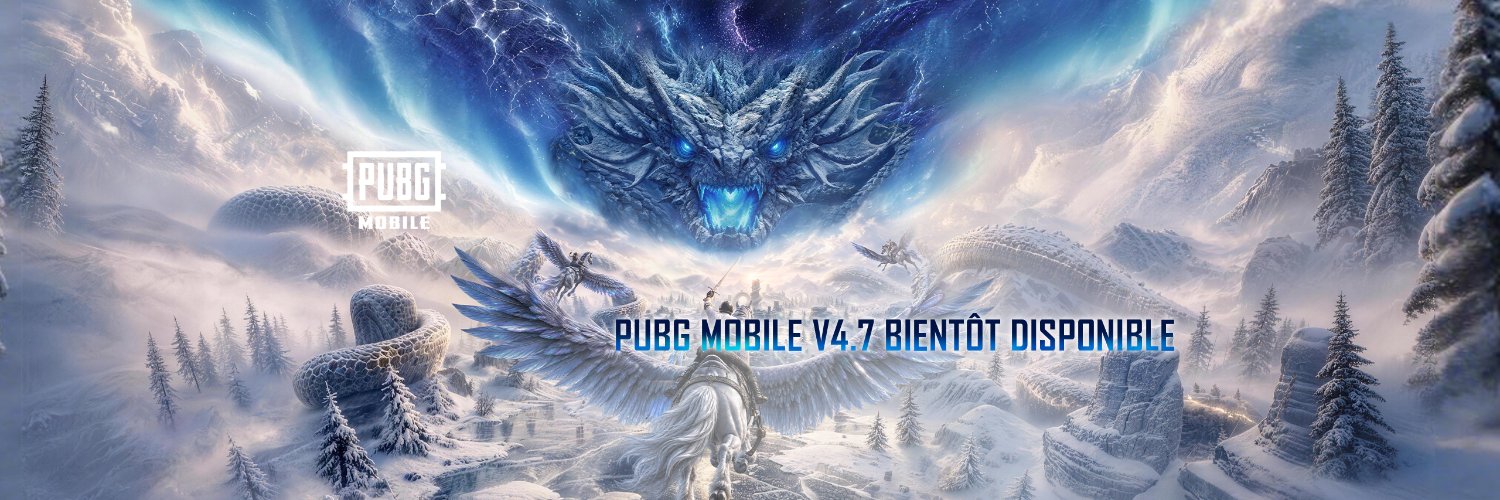 PUBGM_FR's banner