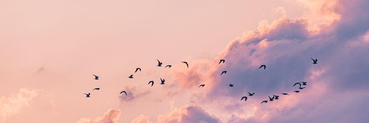 Milarubyyy 🎀's banner