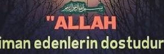 MARDİNLİ's banner