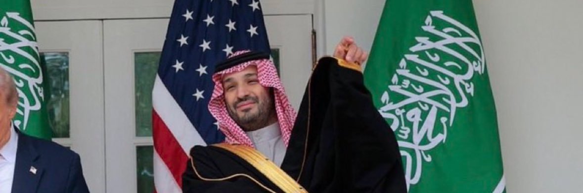 لــيـن الـموسـى's banner