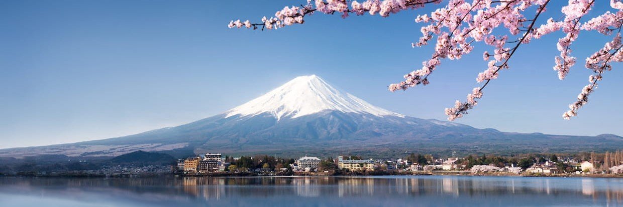 Duval 🇯🇵🌸🏯's banner