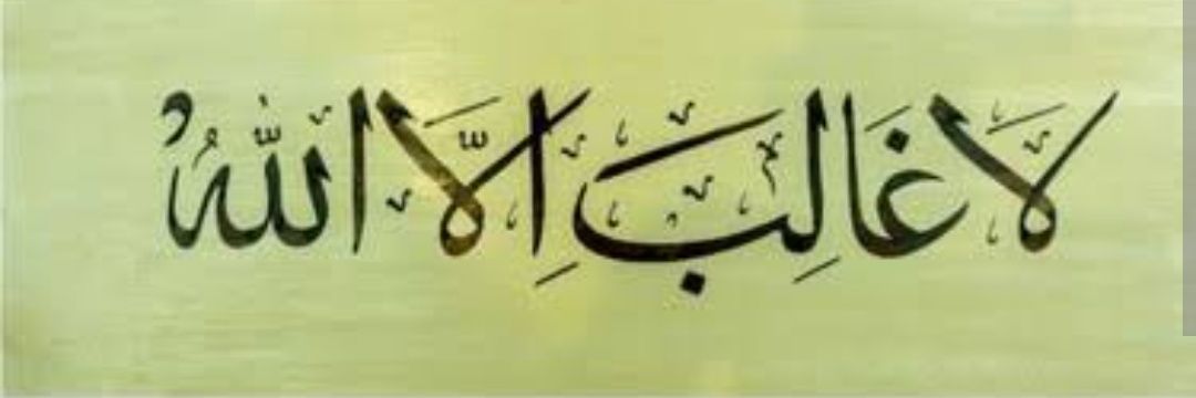 Sedat's banner
