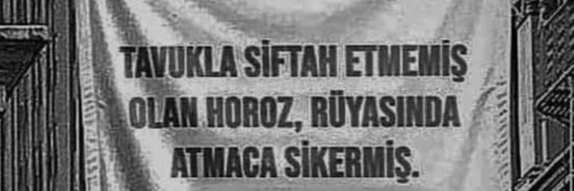 Baranvekarisi's banner
