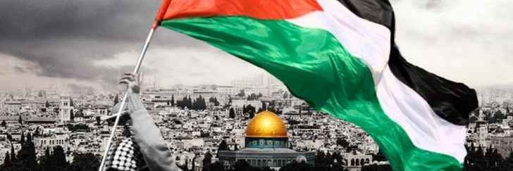Ikbel Jmili's banner
