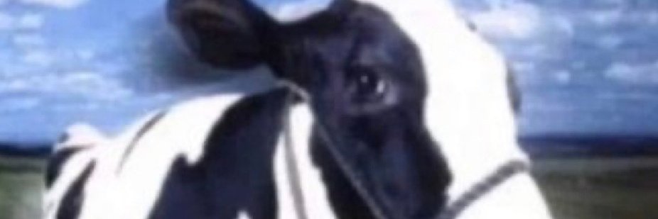 Justie's banner