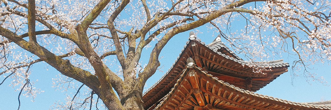 덕수궁's banner