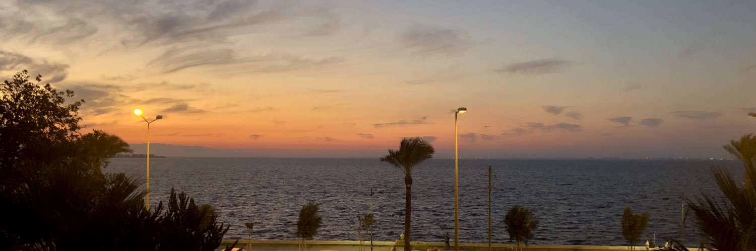 ESİN's banner