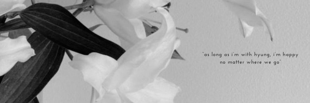 li's banner