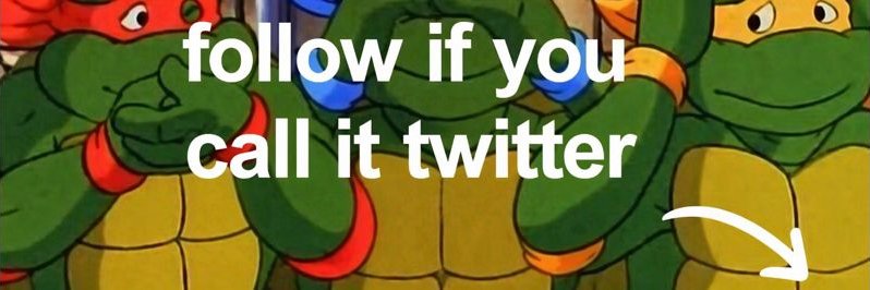 meme bastard 🍕's banner