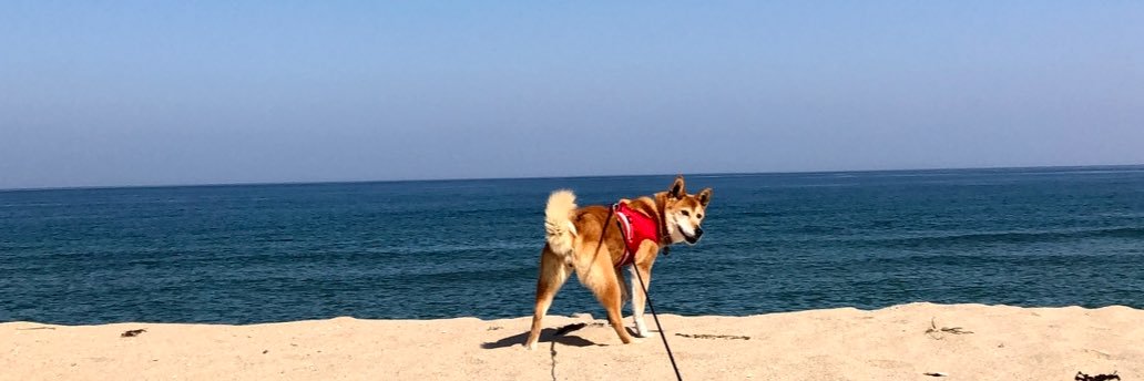 さくらんぼ's banner