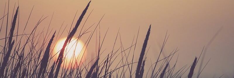 Rindu Senja's banner