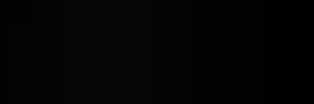 Acervo Regina Rouca's banner